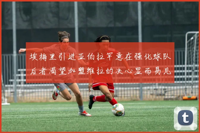 埃梅里引进亚伯拉罕意在强化球队后者渴望加盟维拉的决心显而易见